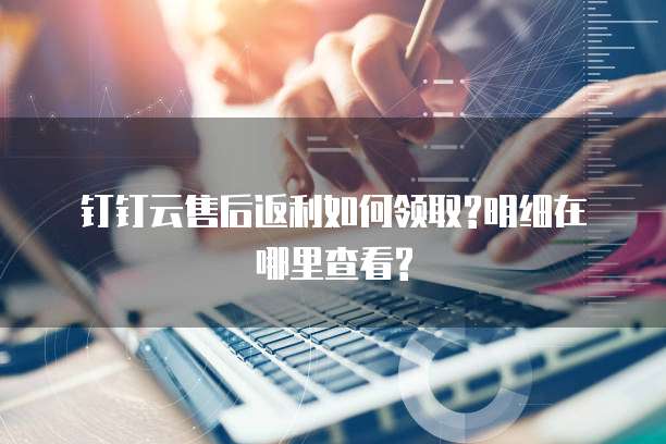 钉钉云售后返利如何领取?明细在哪里查看?