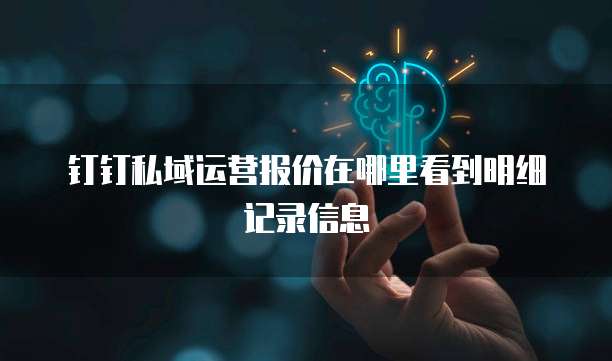 钉钉私域运营报价在哪里看到明细记录信息