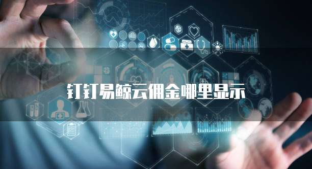 钉钉易鲸云佣金哪里显示