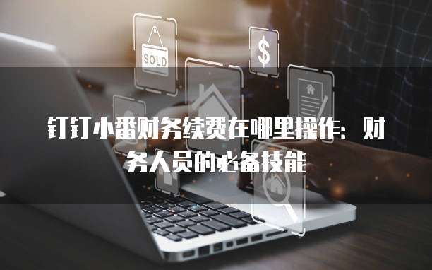 钉钉小番财务续费在哪里操作：财务人员的必备技能