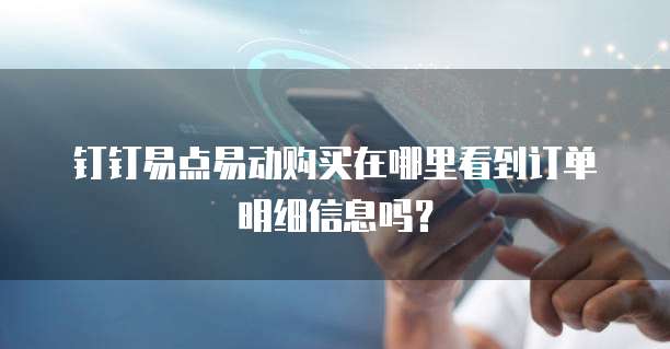 钉钉易点易动购买在哪里看到订单明细信息吗?