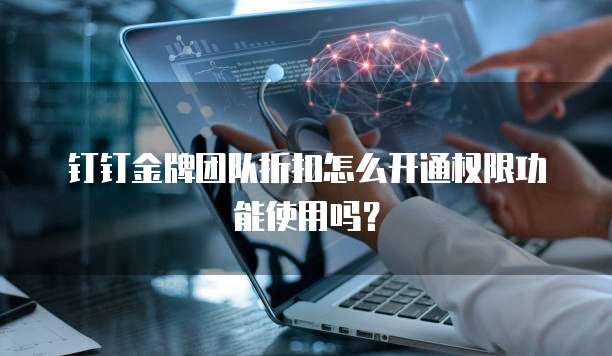 钉钉金牌团队折扣怎么开通权限功能使用吗?