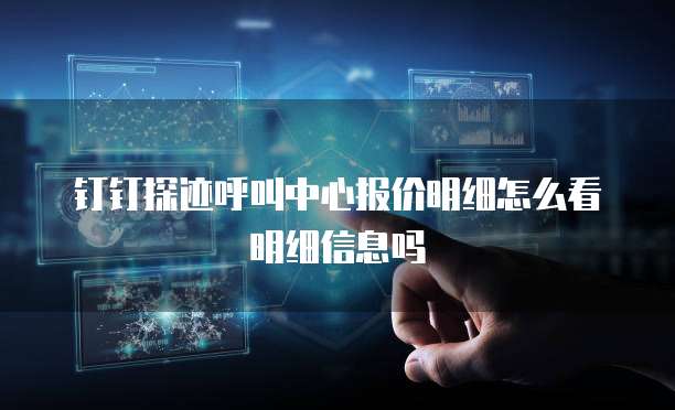 钉钉探迹呼叫中心报价明细怎么看明细信息吗