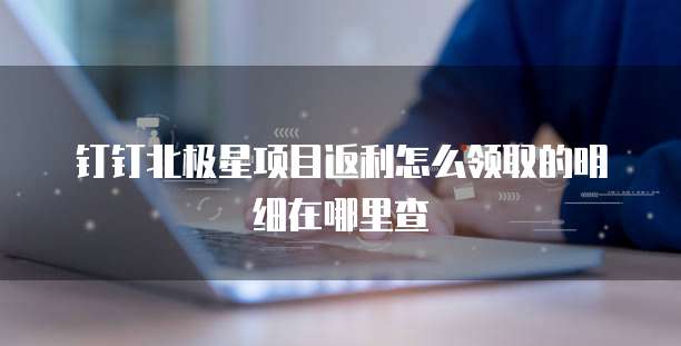 钉钉北极星项目返利怎么领取的明细在哪里查