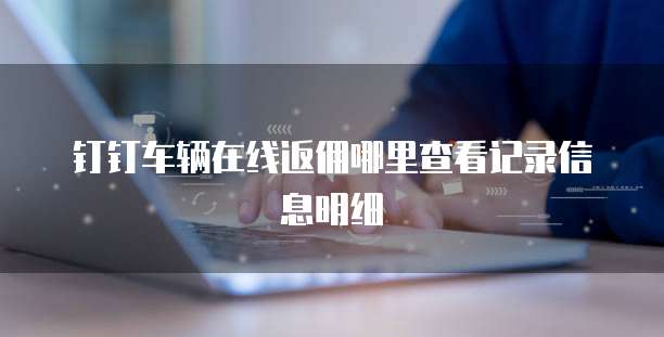 钉钉车辆在线返佣哪里查看记录信息明细