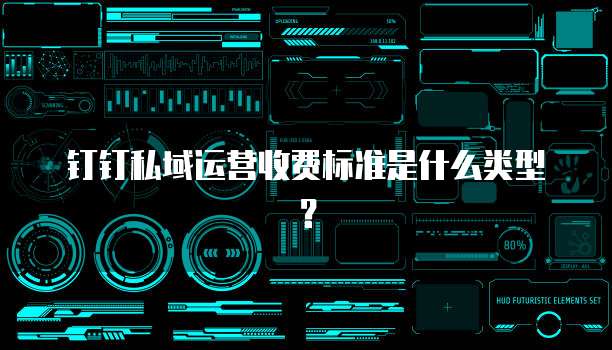 钉钉私域运营收费标准是什么类型？
