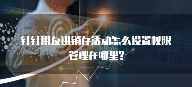 钉钉用友进销存活动怎么设置权限管理在哪里?