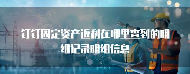 钉钉固定资产返利在哪里查到的明细记录明细信息