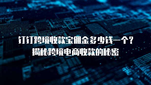 钉钉跨境收款宝佣金多少钱一个？揭秘跨境电商收款的秘密