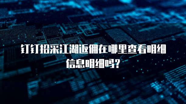 钉钉招采江湖返佣在哪里查看明细信息明细吗？