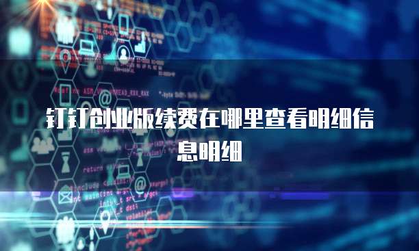 钉钉创业版续费在哪里查看明细信息明细