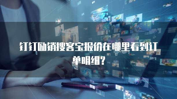 钉钉励销搜客宝报价在哪里看到订单明细?