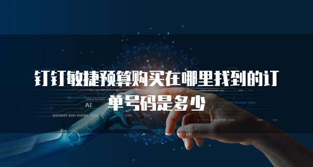 钉钉敏捷预算购买在哪里找到的订单号码是多少