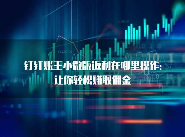 钉钉账王小微版返利在哪里操作:让你轻松赚取佣金