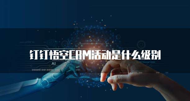 钉钉悟空CRM活动是什么级别