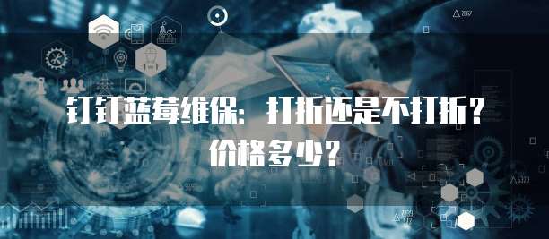 钉钉蓝莓维保：打折还是不打折？价格多少？