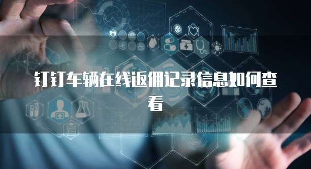 钉钉车辆在线返佣记录信息如何查看