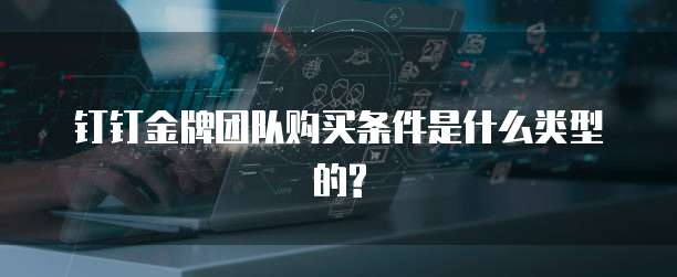 钉钉金牌团队购买条件是什么类型的?