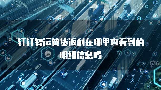 钉钉智运管货返利在哪里查看到的明细信息吗