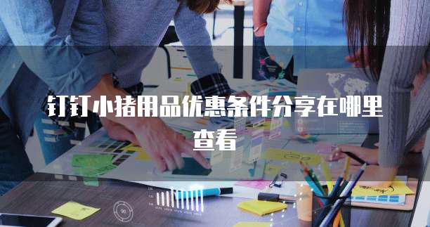 钉钉小猪用品优惠条件分享在哪里查看
