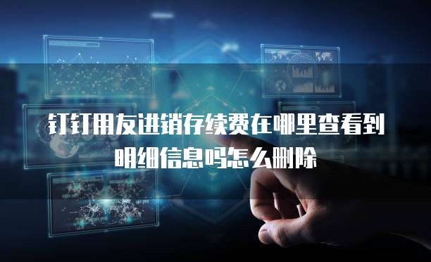 钉钉用友进销存续费在哪里查看到明细信息吗怎么删除