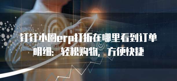 钉钉小圈erp打折在哪里看到订单明细:轻松购物,方便快捷