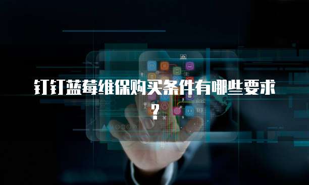钉钉蓝莓维保购买条件有哪些要求?