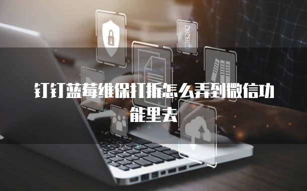 钉钉蓝莓维保打折怎么弄到微信功能里去