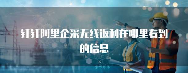 钉钉阿里企采无线返利在哪里看到的信息