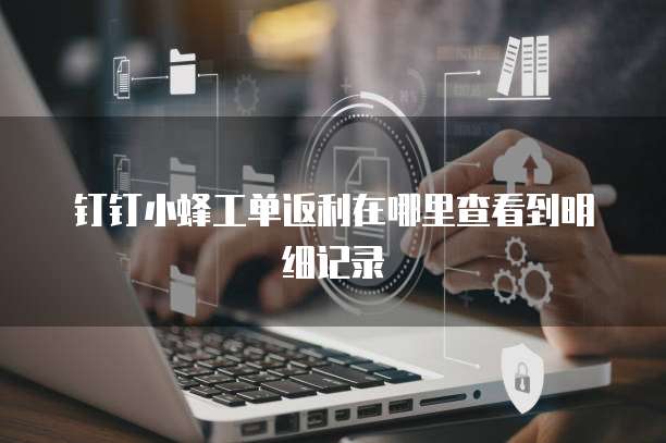 钉钉小蜂工单返利在哪里查看到明细记录