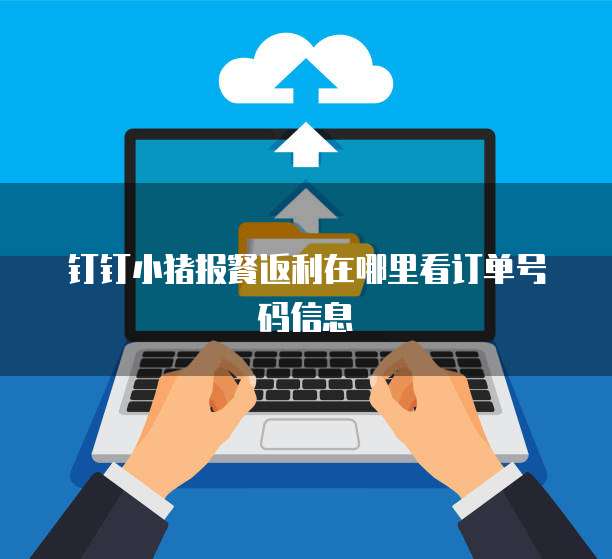 钉钉小猪报餐返利在哪里看订单号码信息