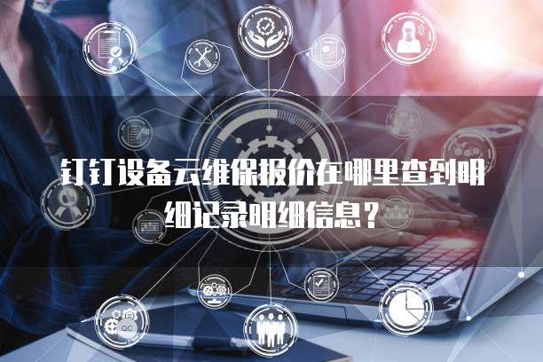 钉钉设备云维保报价在哪里查到明细记录明细信息?