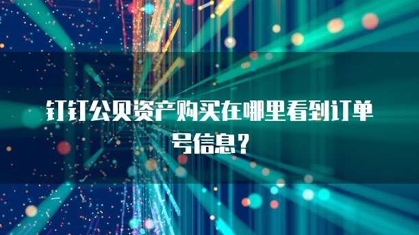 钉钉公贝资产购买在哪里看到订单号信息?