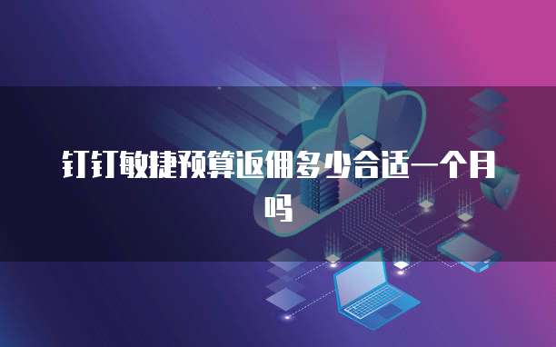 钉钉敏捷预算返佣多少合适一个月吗