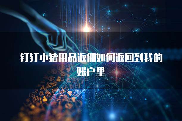 钉钉小猪用品返佣如何返回到我的账户里