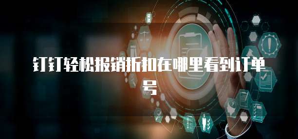 钉钉轻松报销折扣在哪里看到订单号