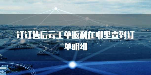钉钉售后云工单返利在哪里查到订单明细
