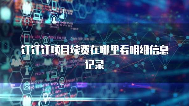 钉钉钉项目续费在哪里看明细信息记录