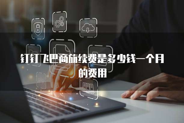 钉钉飞巴商旅续费是多少钱一个月的费用