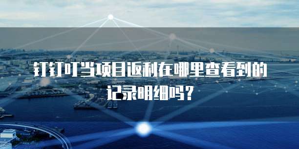 钉钉叮当项目返利在哪里查看到的记录明细吗？