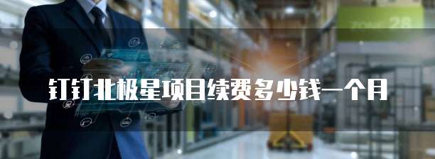 钉钉北极星项目续费多少钱一个月