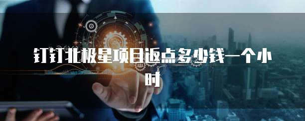 钉钉北极星项目返点多少钱一个小时