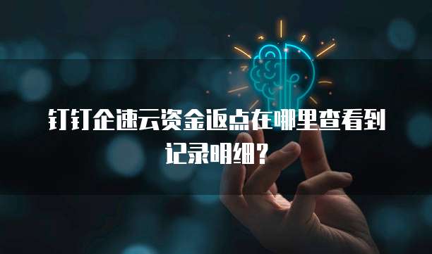 钉钉企速云资金返点在哪里查看到记录明细?