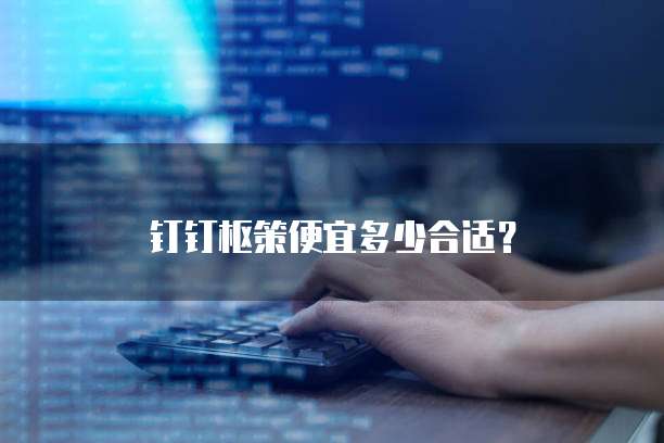 钉钉枢策便宜多少合适?