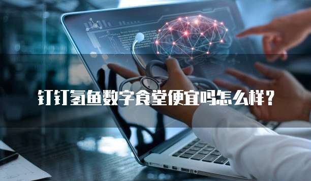 钉钉氢鱼数字食堂便宜吗怎么样？