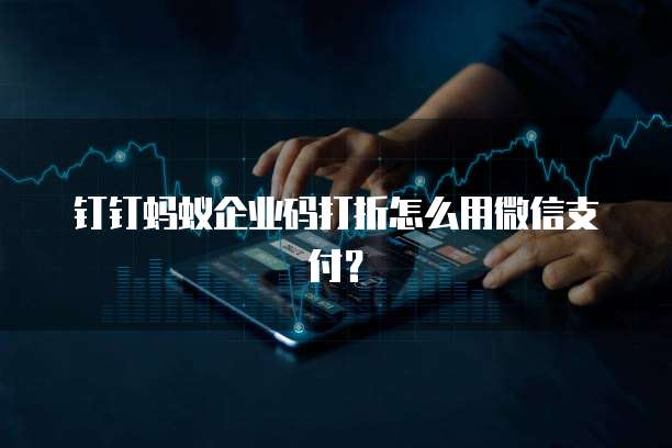 钉钉蚂蚁企业码打折怎么用微信支付?