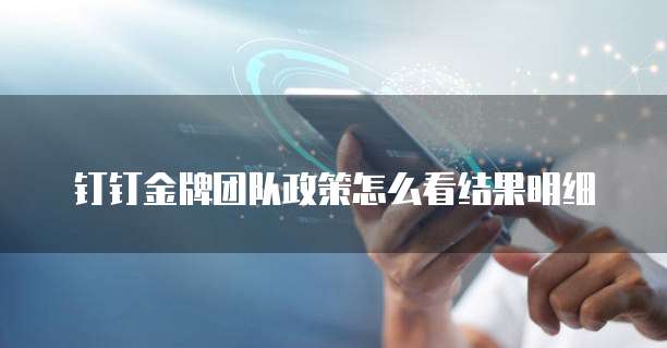 钉钉金牌团队政策怎么看结果明细