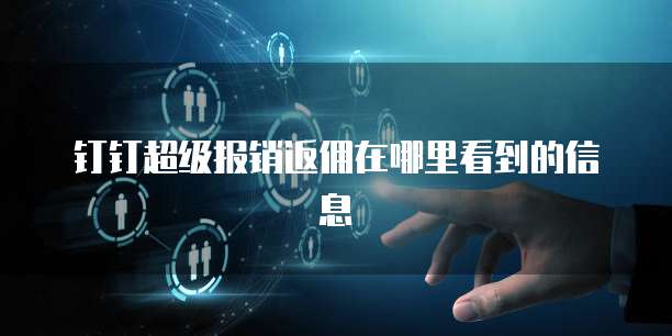 钉钉超级报销返佣在哪里看到的信息