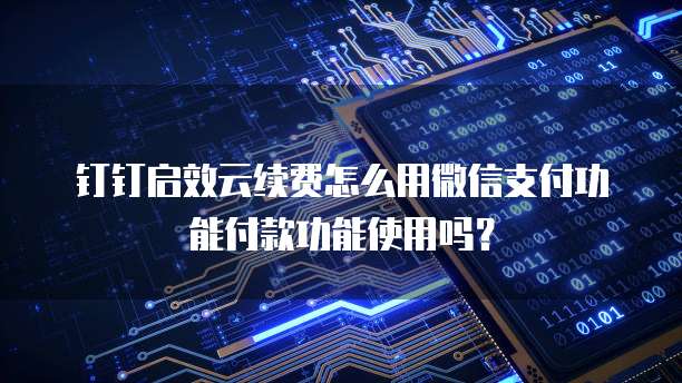 钉钉启效云续费怎么用微信支付功能付款功能使用吗?