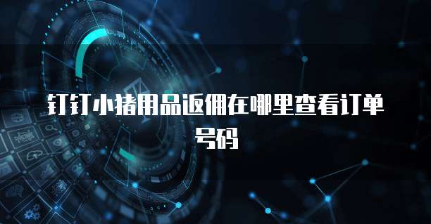 钉钉小猪用品返佣在哪里查看订单号码